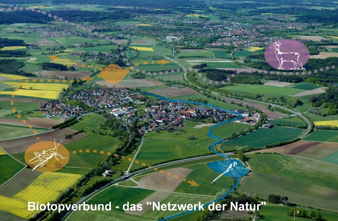 eine Aufnahme einer Rottenburger Ortschaft von oben. Auf das Bild ist der Schriftzug "Biotopverbund - das Netzwerk der Natur" geschrieben.