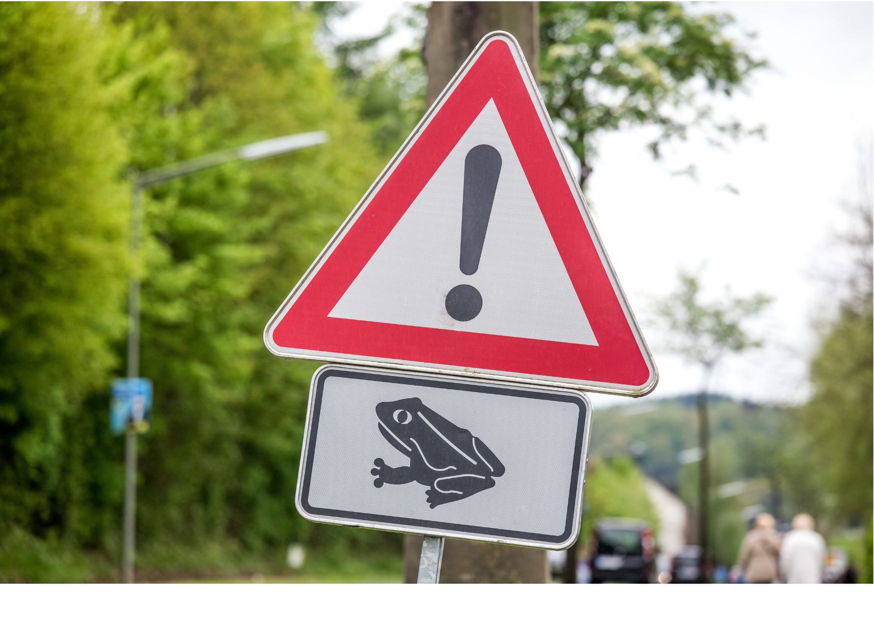 Warnschild Amphibienwanderung