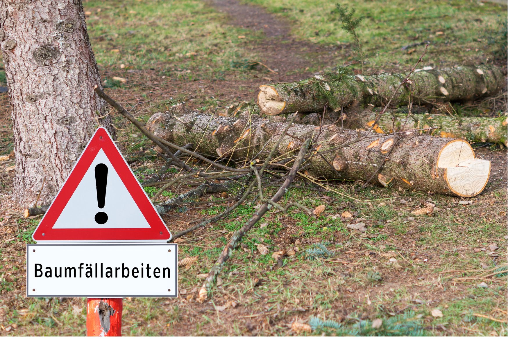 Ein Warnschild auf dem steht "Baumfällarbeiten"