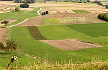 Luftaufnahme von Äckern und Wiesen