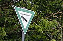 Bäume und Schild
