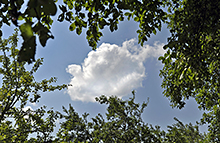 Wolke, himmel, Blätter 