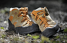 Zwei Turnschuhe auf Waldboden