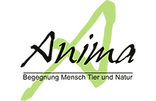 Stilisiertes A, Schriftzug