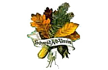 Zeichnung blumen und früchte