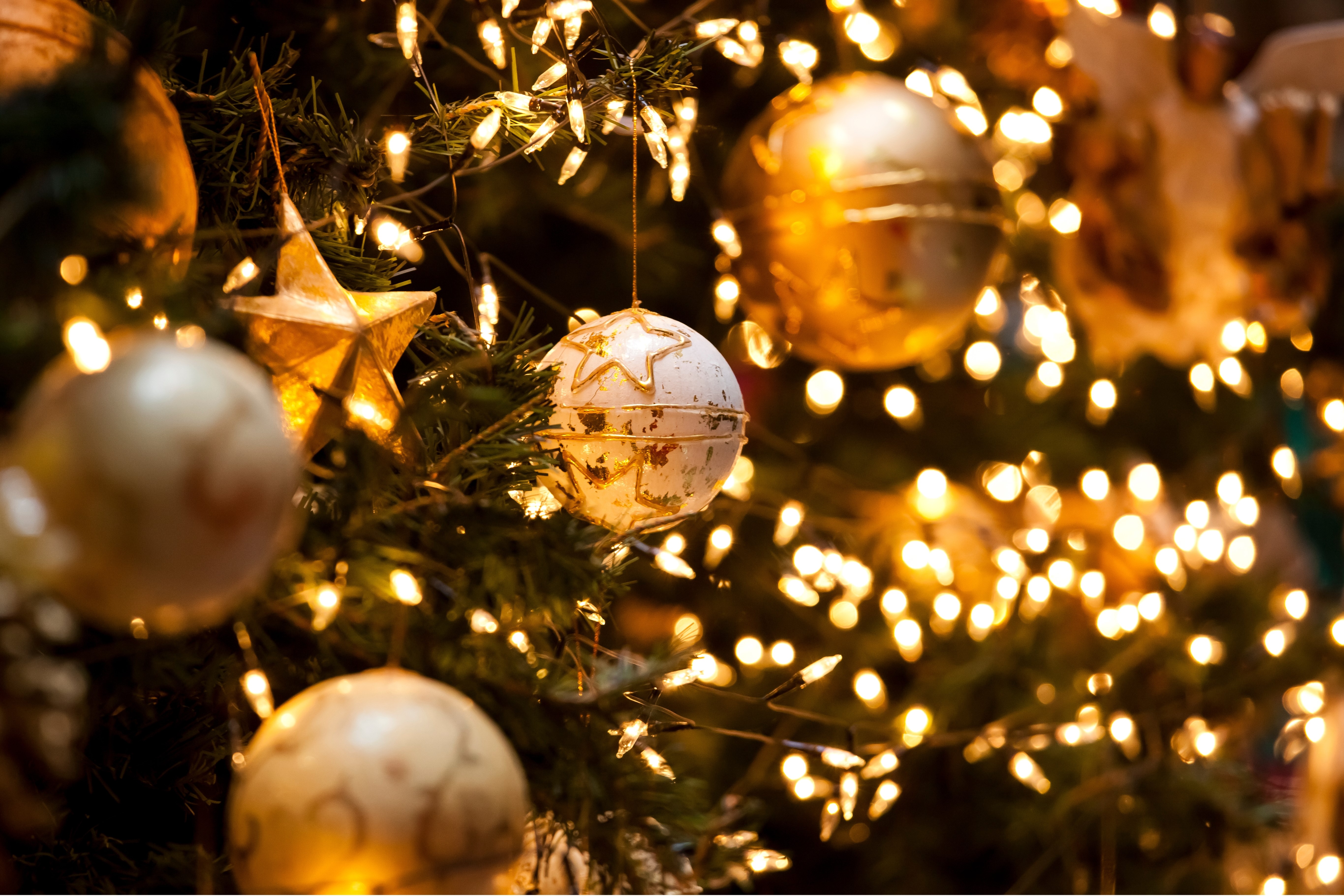 Christbaum 