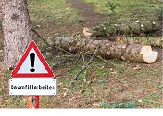Ein Warnschild auf dem steht "Baumfällarbeiten" 