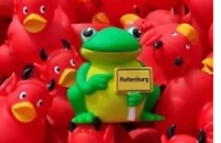 Viele Badeenten, in der Mitte ein Frosch der ein Rottenburg-Schild hält 