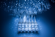 Mehrere Netzwerkkabel 