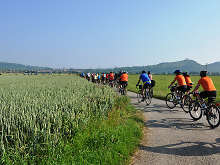 Eine Gruppe von Radfahrerinnen und Radfahrern auf einem Feldweg