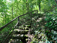 Steintreppe als Wanderweg durch die Natur
