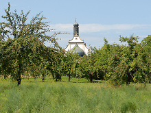 Blühende Obstbäume, dazwischen ist der Giebel der Wallfahrtskirche Weggental zu sehen