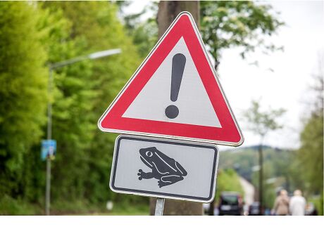 Hinweisschild Amphibienwanderung