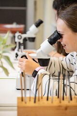 Mädchen sitzt am Schreibtisch und schaut durch ein Mikroskop