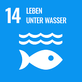 SDG 14: Leben unter Wasser