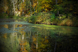 See im Wald gelegen