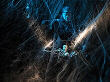 Janne Wagler als Arachne, die ihr Netz webt