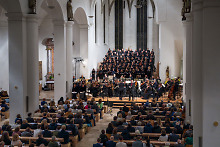 Domkonzert
