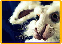Eine Hasenpuppe starrt misstrauisch voraus.