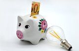 Sparschwein mit Geld und eine Glühbirne