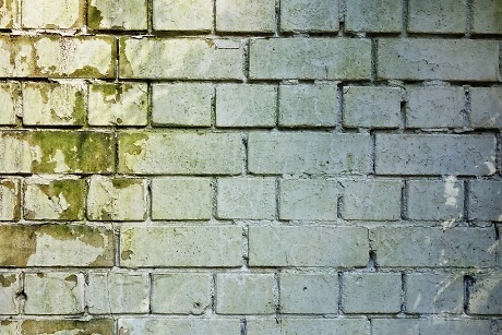 feuchte Wand
