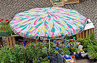 Marktstand mit Schirm und Gemüse 