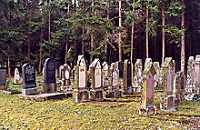 Am Waldrand gelegener alter Friedhof 