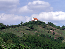 Berg mit Wurmlinger Kapelle, am Hang Weinberge und Obstbäume